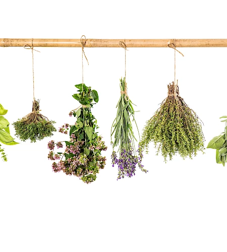 The Most Flavorful Aegean Herbs