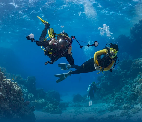 Discover the Enchanting Underwater World of Kusadasi: A Haven for Diving Enthusiasts