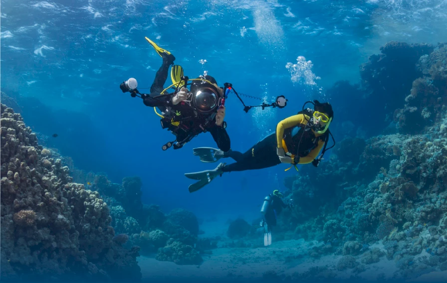 Откройте для себя волшебный подводный мир Кушадасы - рай для любителей дайвинга