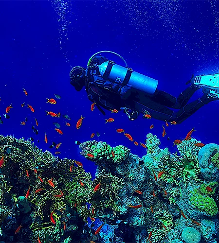 Plongée sous-marine à Kuşadası : Explorez les merveilles sous-marines de la mer Égée